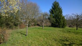 WP_20140309_13_01_18_Pro.jpg